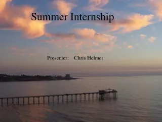 Summer Internship