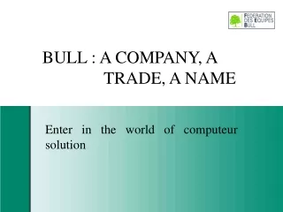 BULL : A COMPANY, A 			TRADE, A NAME