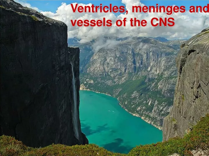 ventricles meninges and vessels of the cns
