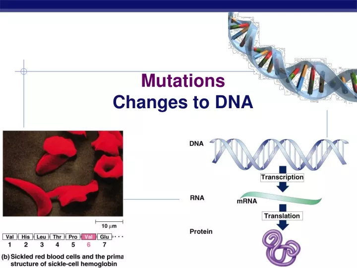 mutations changes to dna