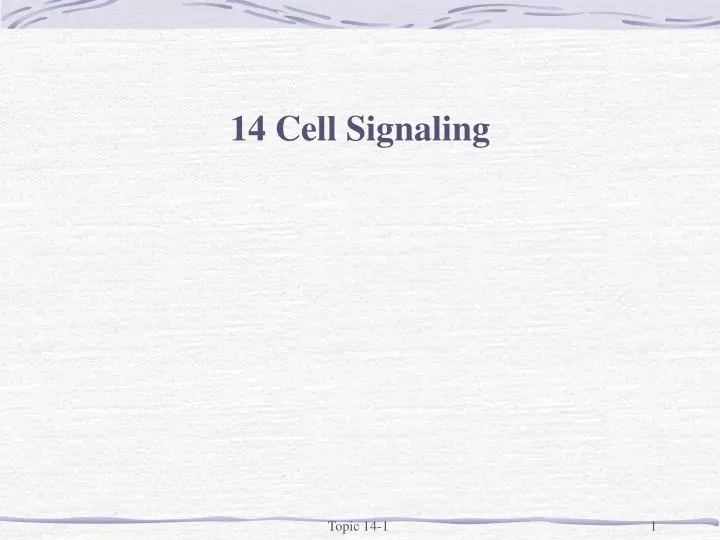 14 cell signaling