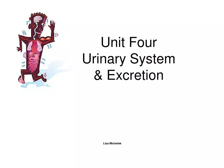 unit four urinary system excretion