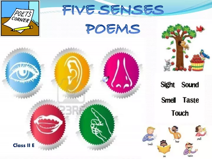 five senses poems