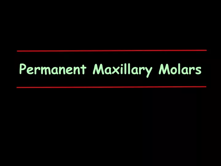 permanent maxillary molars
