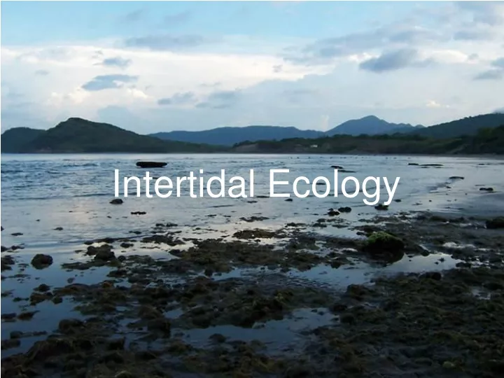 intertidal ecology