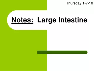 Notes:   Large Intestine
