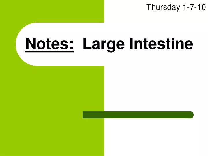 notes large intestine