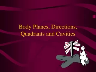 Body Planes, Directions, Quadrants and Cavities