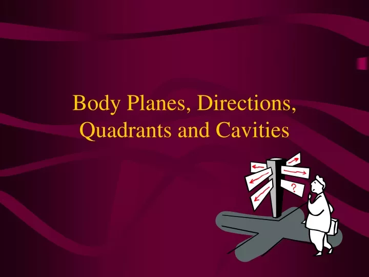 body planes directions quadrants and cavities