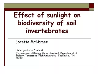 Effect of sunlight on biodiversity of soil invertebrates