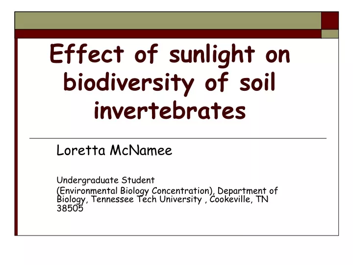 effect of sunlight on biodiversity of soil invertebrates