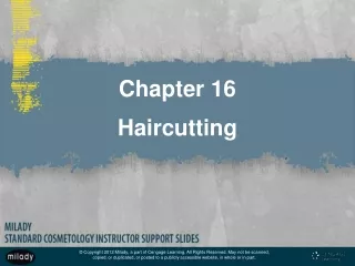 Chapter 16 Haircutting