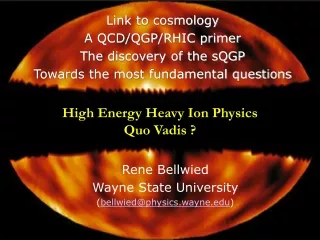 High Energy Heavy Ion Physics Quo Vadis ?
