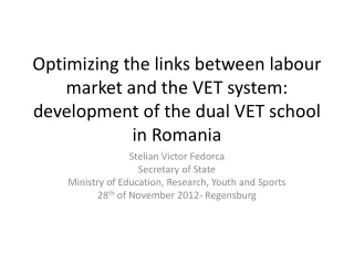 Stelian  Victor  Fedorca Secretary of State  Ministry of Education, Research, Youth and Sports