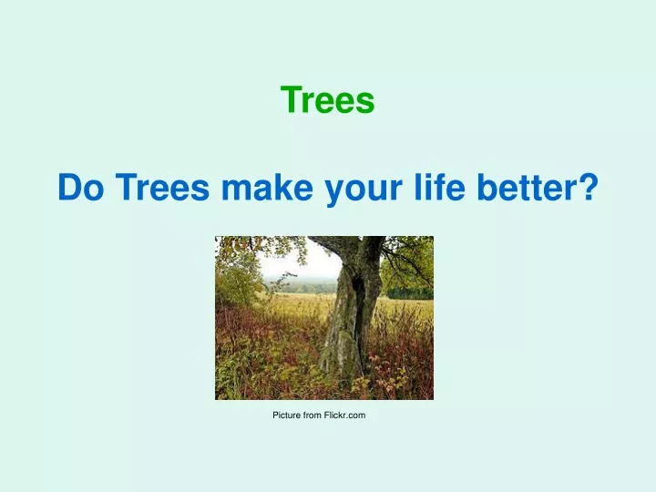 trees do trees make your life better
