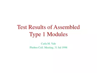 Test Results of Assembled Type 1 Modules