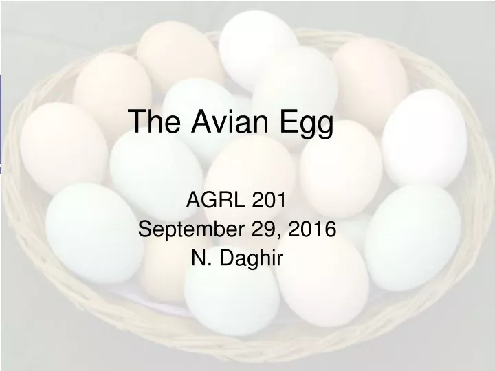 the avian egg