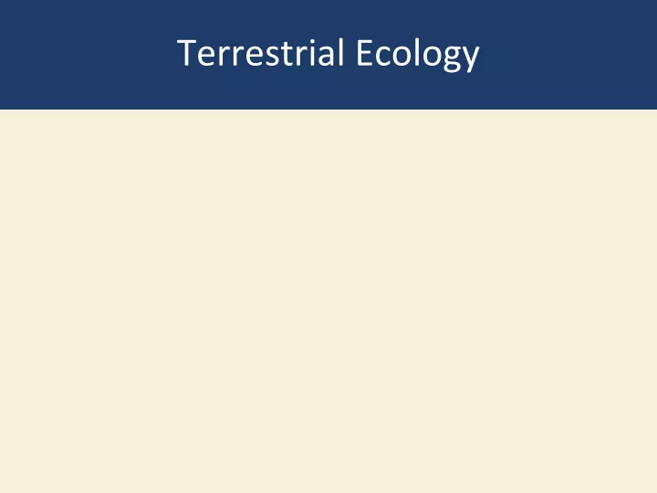 terrestrial ecology