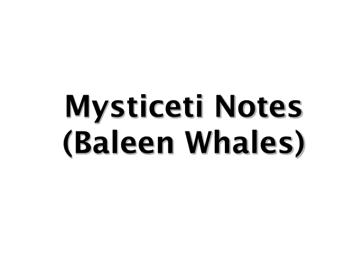 mysticeti notes baleen whales