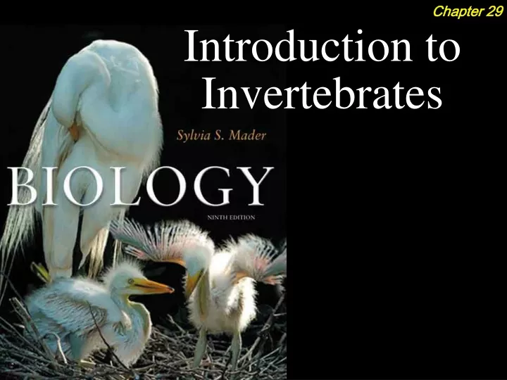 introduction to invertebrates