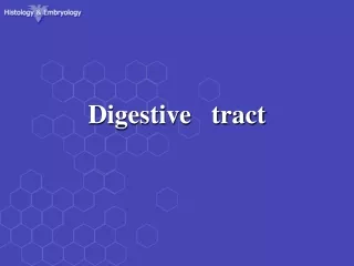 Digestive   tract