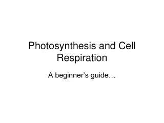 Photosynthesis and Cell Respiration