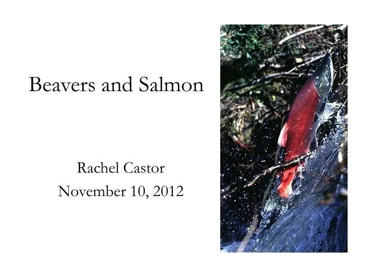 beavers and salmon