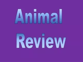 Animal Review