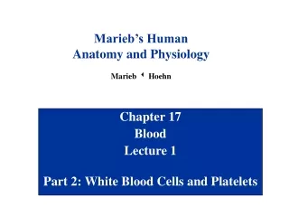 Chapter 17 Blood Lecture 1 Part 2: White Blood Cells and Platelets