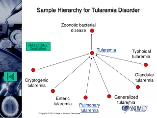 Sample Hierarchy for Tularemia Disorder