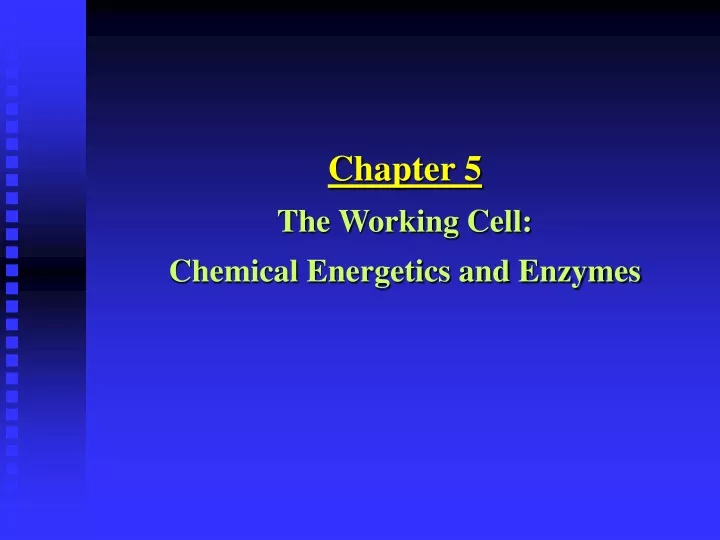 chapter 5 the working cell chemical energetics