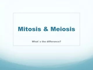 Mitosis &amp; Meiosis