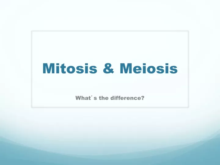 mitosis meiosis