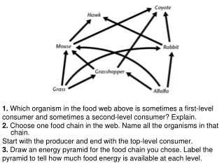 1.  Which organism in the food web above is sometimes a first-level