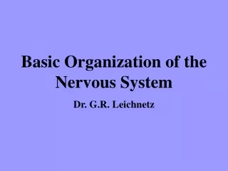Basic Organization of the Nervous System