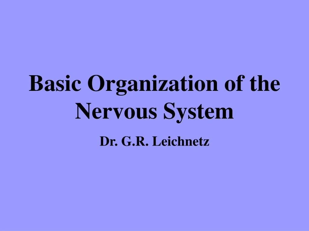 PPT - Basic Organization of the Nervous System PowerPoint Presentation ...