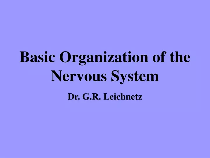 basic organization of the nervous system