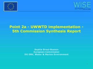 Point 2a - UWWTD implementation - 5th Commission Synthesis Report