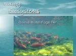 Ecology: Ecosystems - slide 1