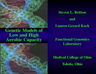 Steven L. Britton  and Lauren Gerard Koch Functional Genomics Laboratory Medical College of Ohio