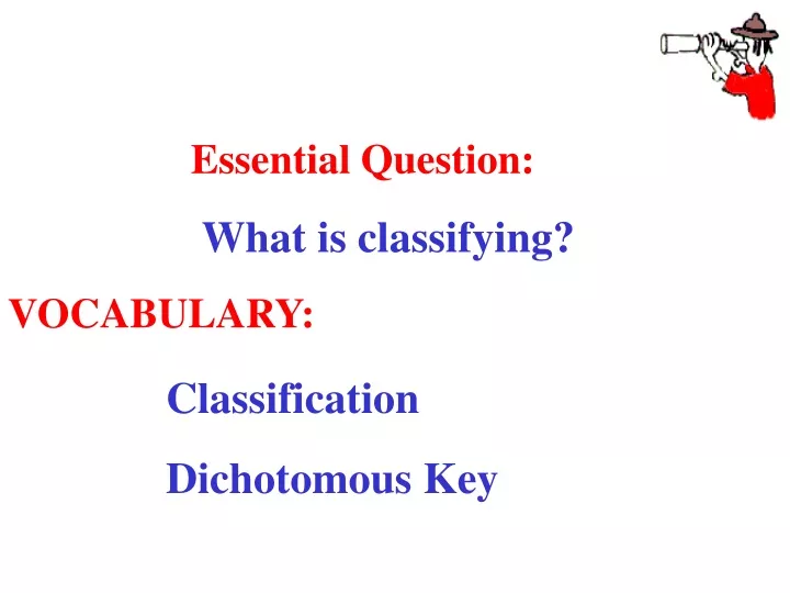 essential question what is classifying vocabulary