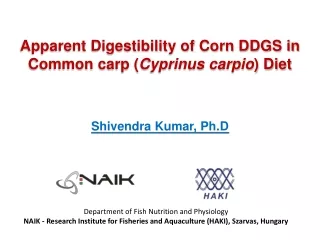 Apparent  D igestibility  of Corn DDGS in Common carp ( Cyprinus carpio )  Diet
