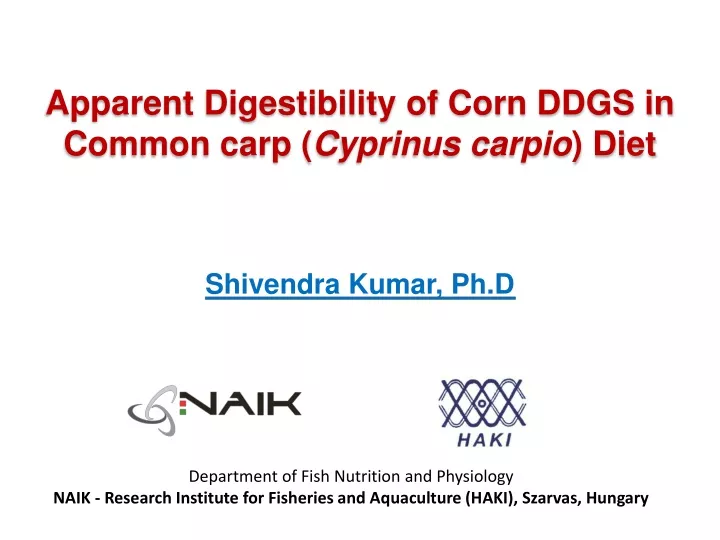 apparent d igestibility of corn ddgs in common carp cyprinus carpio diet