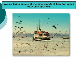 We are living on one of the nine ıslands of Istanbul called  ‘PRINCE’S ISLANDS’.