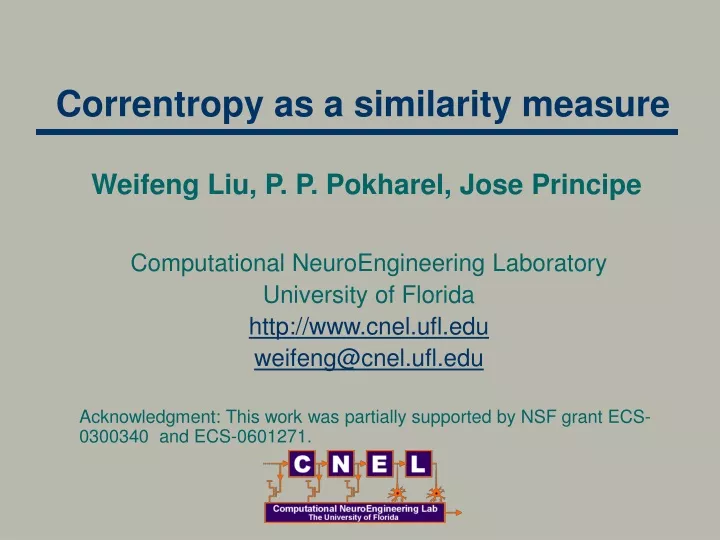 correntropy as a similarity measure
