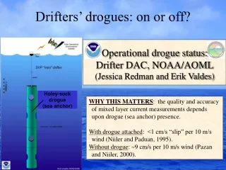 Drifters’ drogues: on or off?