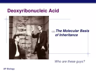 Deoxyribonucleic Acid