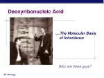 Deoxyribonucleic Acid - slide 1
