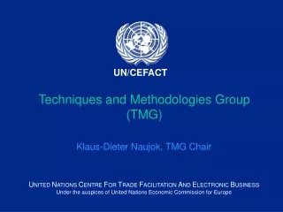 Techniques and Methodologies Group (TMG)