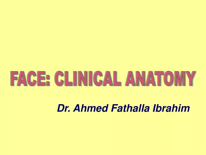 face clinical anatomy